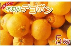 【数量限定】ちょこっと訳あり 不知火 デコポン 約5kg【ご家庭用】＼光センサー選別／ ※2026年2月中旬～4月中旬ごろ順次発送予定（お届け日指定不可） 不知火 デコポン 柑橘 みかん 果物 くだもの フルーツ 和歌山 果実 みかん【nuk120D】
