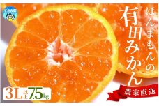 【農家直送】有田みかん  大玉3L以上 約7.5kg 有機質肥料100% ※2025年12月初旬～1月中旬に順次発送(お届け日指定不可) / みかん ミカン 温州みかん 柑橘 有田 和歌山 産地直送 【nuk158C】