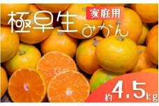 極早生みかん 約4.5kg みかん 産直 サイズ混合 みかん 早生みかん 果物 くだもの フルーツ 温州みかん 和歌山 柑橘 オレンジ【2025年10月上旬～下旬頃に順次発送】【mrmt002】
