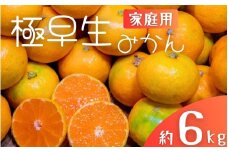 極早生みかん 約6kg みかん 産直 サイズ混合 みかん 早生みかん 果物 くだもの フルーツ 温州みかん 和歌山 柑橘 オレンジ【2025年10月上旬～下旬頃に順次発送】【mrmt028】