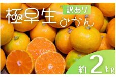 【訳あり】手選別 極早生みかん 約2kg 和歌山県産 2S~2Lサイズ混合 ※2025年10月上旬～下旬頃に順次発送【mrmt003】