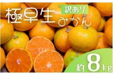 【訳あり】手選別 極早生みかん 約8kg 和歌山県産 2S~2Lサイズ混合 ※2025年10月上旬～下旬頃に順次発送【mrmt041】