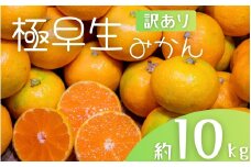 【訳あり】手選別 極早生みかん 約10kg 和歌山県産 2S~2Lサイズ混合 ※2025年10月上旬～下旬頃に順次発送【mrmt005】