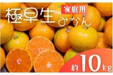 極早生みかん 約10kg みかん 産直 サイズ混合 みかん 早生みかん 果物 くだもの フルーツ 温州みかん 和歌山 柑橘 オレンジ【2025年10月上旬～下旬頃に順次発送】【mrmt029】