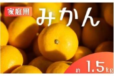 【ご家庭用】手選別 温州みかん 約1.5kg 和歌山県産 2S~2Lサイズ混合※2025年11月上旬～2026年2月中旬ごろに順次発送【mrmt006】 
