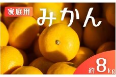 【ご家庭用】手選別 温州みかん 約8kg 和歌山県産 2S~2Lサイズ混合※2025年11月上旬～2026年2月中旬ごろに順次発送【mrmt042】 