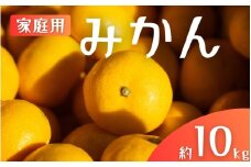 【ご家庭用】手選別 温州みかん 約10kg 和歌山県産 2S~2Lサイズ混合※2025年11月上旬～2026年2月中旬ごろに順次発送【mrmt031】 