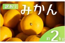 【訳あり】 森本農園の手選別 みかん 約2kg 和歌山県産 2S~2Lサイズ混合 【2025年11月上旬～2026年2月中旬ごろに順次発送】【mrmt008】 