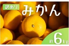 【訳あり】 森本農園の手選別 みかん 約6kg 和歌山県産 2S~2Lサイズ混合 【2025年11月上旬～2026年2月中旬ごろに順次発送】【mrmt009】 