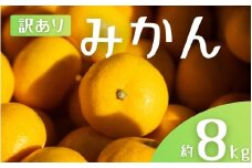 【訳あり】 森本農園の手選別 みかん 約8kg 和歌山県産 2S~2Lサイズ混合 【2025年11月上旬～2026年2月中旬ごろに順次発送】【mrmt043】 