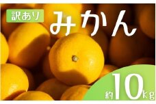 【訳あり】 森本農園の手選別 みかん 約10kg 和歌山県産 2S~2Lサイズ混合 【2025年11月上旬～2026年2月中旬ごろに順次発送】【mrmt010】 