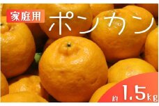 【家庭用】 森本農園の手選別 ポンカン 約1.5kg 和歌山県産 サイズ混合 【2026年1月上旬～2月上旬頃に順次発送】【mrmt011】 