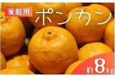 【家庭用】 森本農園の手選別 ポンカン 約8kg 和歌山県産 サイズ混合 【2026年1月上旬～2月上旬頃に順次発送】【mrmt044】 