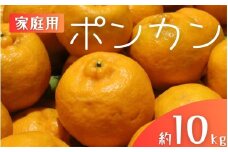 【家庭用】 森本農園の手選別 ポンカン 約10kg 和歌山県産 サイズ混合 【2026年1月上旬～2月上旬頃に順次発送】【mrmt033】 