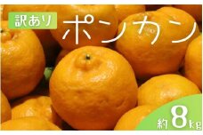 【訳あり】 森本農園の手選別 ポンカン 約8kg 和歌山県産 サイズ混合 【2026年1月上旬～2月上旬頃に順次発送】【mrmt045】 