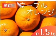 【家庭用】 森本農園の手選別 ネーブルオレンジ 約1.5kg 和歌山県産 サイズ混合 【2026年1月上旬～2月中旬頃に順次発送】【mrmt016】 