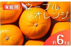 【家庭用】 森本農園の手選別 ネーブルオレンジ 約6kg 和歌山県産 サイズ混合 【2026年1月上旬～2月中旬頃に順次発送】【mrmt034】 
