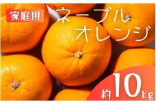 【家庭用】 森本農園の手選別 ネーブルオレンジ 約10kg 和歌山県産 サイズ混合 【2026年1月上旬～2月中旬頃に順次発送】【mrmt035】 