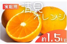 【先行予約】【家庭用】 森本農園の手選別 清見オレンジ 約1.5kg 和歌山県産 サイズ混合 ※2026年2月上旬～5月中旬頃順次発送 / きよみ 清見 柑橘 ご家庭用 期間限定 由良町 果物 フルーツ 和歌山県【mrmt021A】