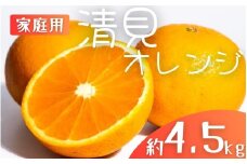 【先行予約】【家庭用】 森本農園の手選別 清見オレンジ 約4.5kg 和歌山県産 サイズ混合 ※2026年2月上旬～5月中旬頃順次発送 / きよみ 清見 柑橘 ご家庭用 期間限定 由良町 果物 フルーツ 和歌山県【mrmt022A】