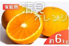 【先行予約】【家庭用】 森本農園の手選別 清見オレンジ 約6kg 和歌山県産 サイズ混合 ※2026年2月上旬～5月中旬頃順次発送 / きよみ 清見 柑橘 ご家庭用 期間限定 由良町 果物 フルーツ 和歌山県【mrmt038A】
