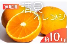 【先行予約】【家庭用】 森本農園の手選別 清見オレンジ 約10kg 和歌山県産 サイズ混合 ※2026年2月上旬～5月中旬頃順次発送 / きよみ 清見 柑橘 ご家庭用 期間限定 由良町 果物 フルーツ 和歌山県【mrmt039A】