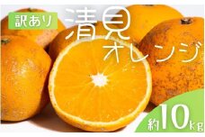 【先行予約】【訳あり】 森本農園の手選別 清見オレンジ 約10kg 和歌山県産 サイズ混合 ※2026年2月上旬～5月中旬頃順次発送 / 清見 きよみ オレンジ 柑橘 期間限定 由良町 果物 フルーツ 和歌山県【mrmt025A】 