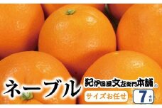ネーブル 約7kg/サイズおまかせ　※2026年1月中旬～2026年2月中旬頃に順次発送予定(お届け日指定不可)　紀伊国屋文左衛門本舗 / みかん オレンジ ネーブル 果物 柑橘　和歌山  フルーツ くだもの 【sutb430B】