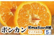 ポンカン 約5kg/サイズおまかせ　※2026年1月下旬～2026年2月下旬頃に順次発送予定(お届け日指定不可)　紀伊国屋文左衛門本舗 / みかん 果物 くだもの フルーツ オレンジ【sutb451B】