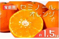 【先行予約】【ご家庭用】手選別 セミノールオレンジ 約1.5kg 和歌山県産 2S~2Lサイズ混合※2026年4月中旬～5月中旬頃に順次発送【mrmt026】 