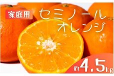 【先行予約】【ご家庭用】手選別 セミノールオレンジ 約4.5kg 和歌山県産 2S~2Lサイズ混合※2026年4月中旬～5月中旬頃に順次発送【mrmt027】 