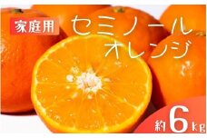 【先行予約】【ご家庭用】手選別 セミノールオレンジ 約6kg 和歌山県産 2S~2Lサイズ混合※2026年4月中旬～5月中旬頃に順次発送【mrmt036】 