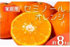 【先行予約】【ご家庭用】手選別 セミノールオレンジ 約8kg 和歌山県産 2S~2Lサイズ混合※2026年4月中旬～5月中旬頃に順次発送【mrmt050】 