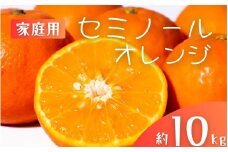 【先行予約】【ご家庭用】手選別 セミノールオレンジ 約10kg 和歌山県産 2S~2Lサイズ混合※2026年4月中旬～5月中旬頃に順次発送【mrmt037】 