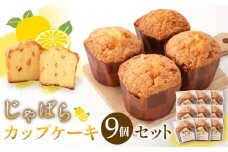 柑橘「じゃばら」カップケーキセット9個入り  [Pn4]