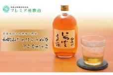 和歌山じゃばらうめ酒　720ml×2本