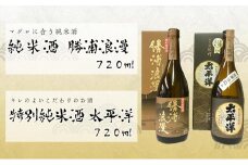 特別純米酒720ml 2本セット　太平洋と勝浦浪漫