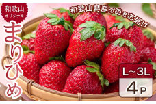 2月中旬より発送 和歌山県 オリジナル まりひめ イチゴ4パック入り（3L～L寸）