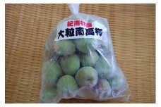 【数量限定】梅ジュースに最適！紀州特産　冷凍大粒南高梅　3kg