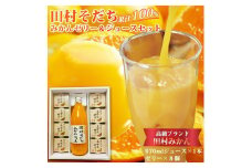 田村そだちみかんゼリー＆ジュースセット