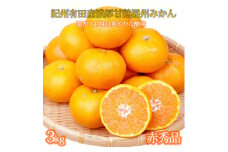赤秀品　紀州有田産濃厚完熟温州みかん　3kg（ＭサイズまたはＳサイズ）【2025年11月下旬以降発送】【先行予約】【UT12】