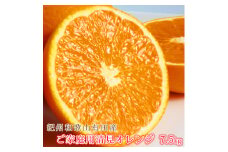 ［ご家庭用訳アリ］紀州有田産清見オレンジ　7.5kg［2026年3月下旬以降発送］［先行予約］［UT54］