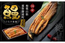 国産活鰻を地元の醤油で仕上げた絶品のうなぎ蒲焼(3尾）