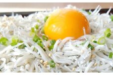 【海南塩津の港から直送】こだわりの冷蔵新鮮釜揚げしらす350g×2パック