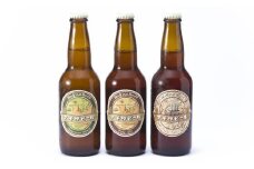 白浜富田の水使用の地ビール【ナギサビール】330ml 3種12本セット