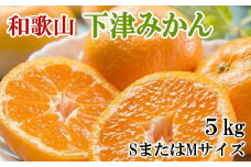 【産直・秀品】和歌山下津みかん約5kg(SサイズまたはMサイズのいずれかをお届け) ★2025年11月中旬頃より順次発送【TM73】