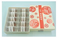 紀州 梅真鯛梅　十個入