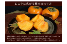 和歌山の種なし柿　約7.5kg（秀品：サイズ・品種おまかせ）／紀伊国屋文左衛門本舗［TC4］