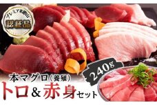 プレミア和歌山認証品 本マグロ（養殖）トロ＆赤身セット　240g［KS11］