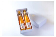 きわみ みかんジュース 500ml × 2本 入り ギフトセット【mao5】
